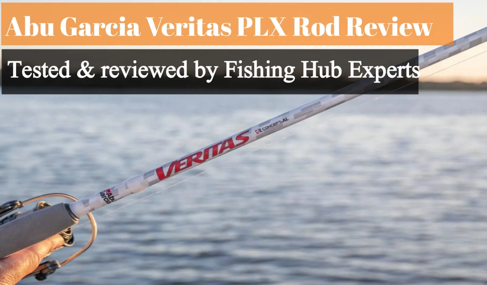 Abu Garcia Veritas PLX Rod Review